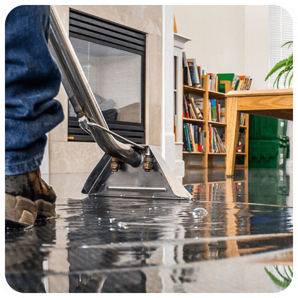 Studio City Mold Remediation Services